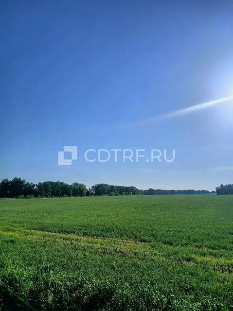 Торги по продаже имущества Должника: Касторновой Светланы Юрьевны
