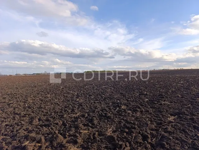 Земельный участок, кадастровый номер: 18:16:086001:1430 (повторные торги)