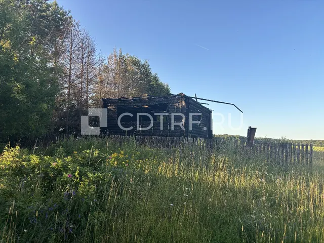 Торги по продаже залогового имущества (земельный участок) Усачева В.В.