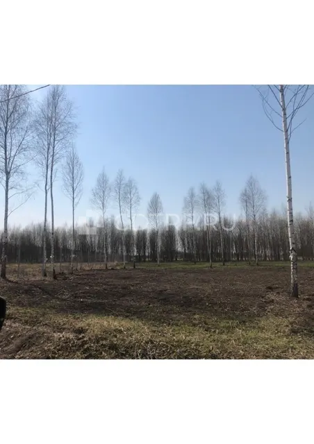 Торги имуществом Павловской Д.В. Земельный участок Тульская обл., д. Скрипово