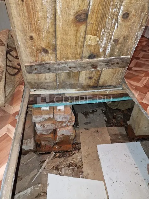 торги ИП Иванова Виктория Романовна