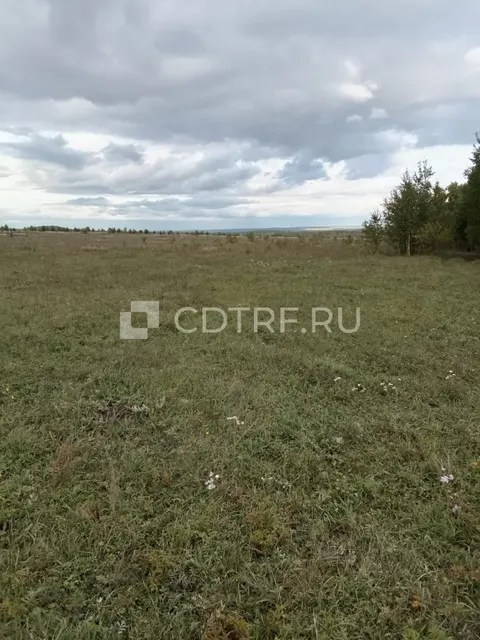 Мартынович С.Г., лот №4 Зем. участок, Ирк. обл., Баяндаевский р-он, ур. "Иванова Пашня"