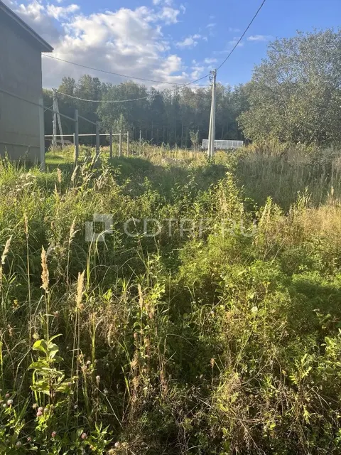 Гуреев А.В. Реализация земельного участка площадью 1500 +/- 7.75 кв. м.