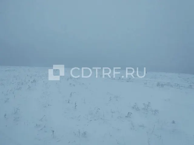 Болдырева Людмила Леонидовна Земельный участок 38:06:111215:2139 Лот №1