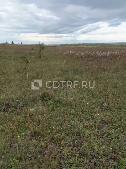 Мартынович С.Г., лот №5 Зем. участок, Ирк. обл., Баяндаевский р-он, ур. "Иванова Пашня"
