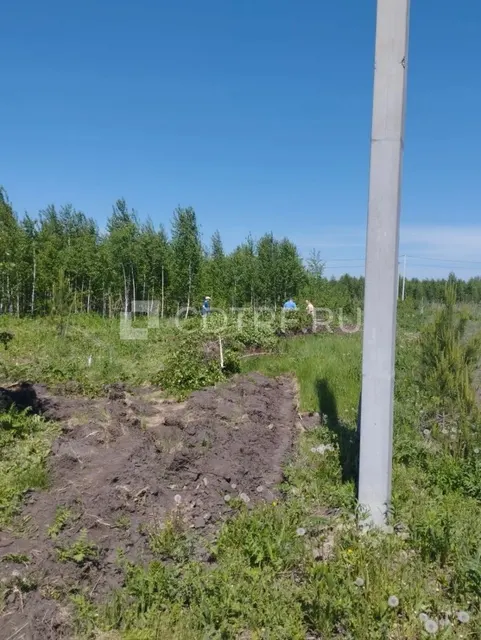Земельный участок, площадь 937+/-11 кв.м., в Новосибирской области
