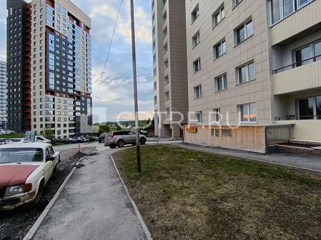 Кафе пиццерия Новосибирск 187 м2.