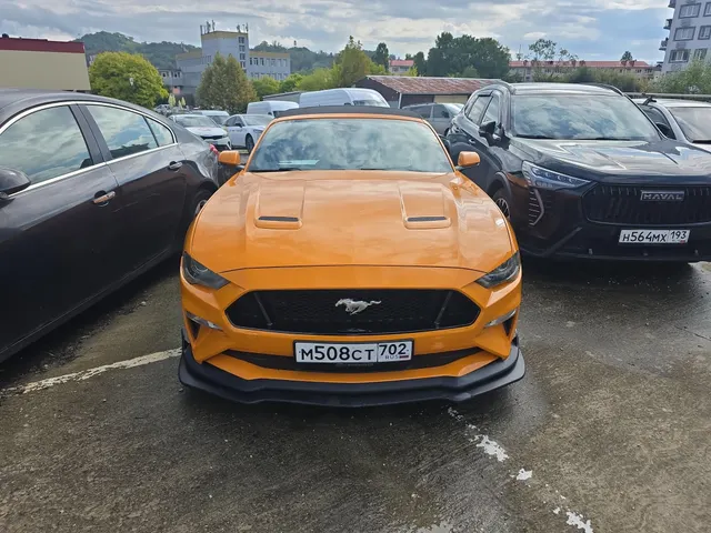 Транспортное средство. Модель: FORD Mustang. Тип КПП: АКПП. VIN 1FATP8UH9K5172384. Гос. номер: М508СТ702. Год выпуска: 2019. Ключи отсутствуют. Адрес местонахождения: г. Сочи, ул. Дачная, д. 26