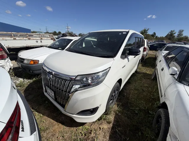 Транспортное средство. Модель: TOYOTA ESQUIRE HYBRID. Тип КПП: АКПП. VIN ZWR80-0298094. Гос. номер: В109УХ125. Год выпуска: 2017. Ключи в наличии. Адрес местонахождения: г. Артем, ул. Нововокзальная, д. 29 А