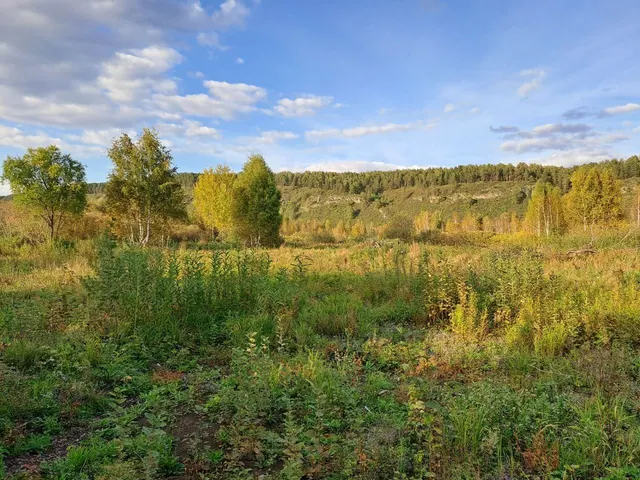 Земельный участок, местоположение: Местоположение установлено относительно ориентира, расположенного в границах участка. Почтовый адрес ориентира: обл. Кемеровская, р-н Кемеровский, д. Жургавань, ул. Лазурная, 27., площадь: 1499.47 +/- 27.1 кв. м., кадастровый номер 42:04:0211016:162.