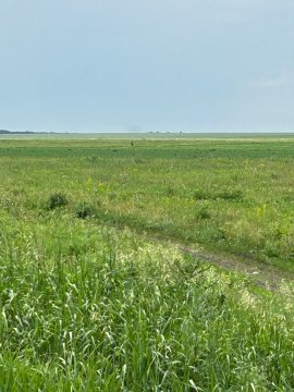 Лот №1, Земельные участки (136 шт.) общей площадью 361 187 кв. м в границах ЗАО «Каменское» Красноярского района Самарской области