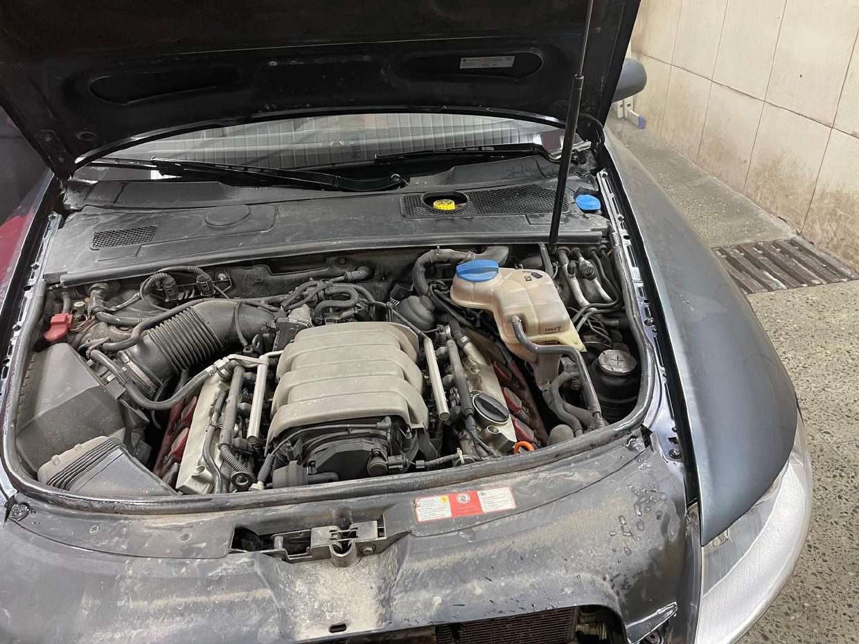 транспортное средство: Audi А6, Идентификационный номер (VIN номер): WAUZZZ4F36N164268, Год выпуска: 2006 гос.номер Х788ВХ31