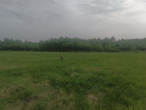 Лот №12, Земельный участок - 209 346 +/- 7 249 кв. м, адрес: Смоленская обл., р-н. Темкинский, тер. с/п Павловское, тер. АОЗТ «Ильинское», кадастровый номер 67:20:0030102:308, земли с/х назначения - для с/х использования, ограничения и обременения: ограничения прав на земельный участок, предусмотренные ст. 56 Земельного кодекса РФ