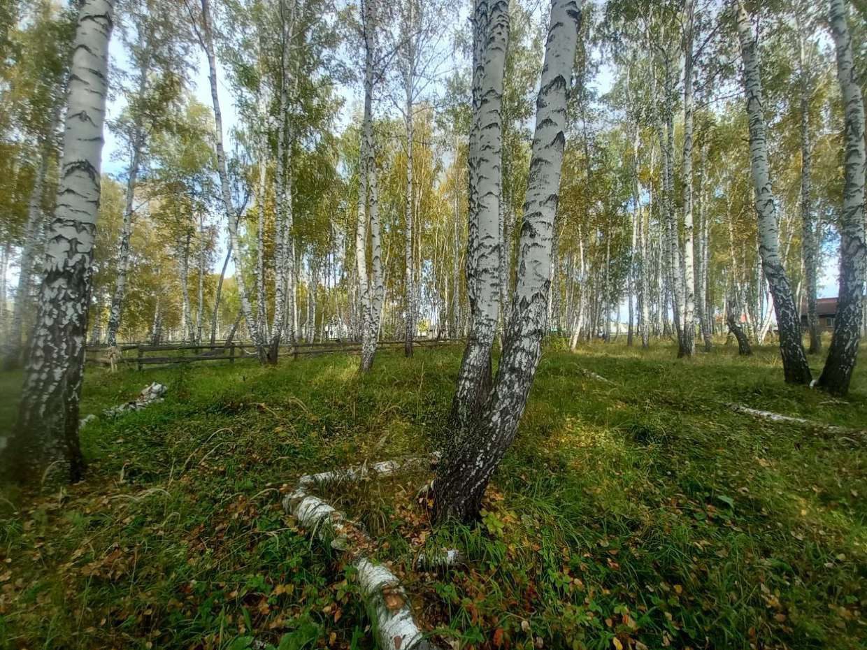 Земельный участок, площадь: 2 269 кв.м., адрес (местонахождение): Челябинская область, Сосновский р-н, село Архангельское, ул. Лесная, участок № 30, категория земель: Земли населенных пунктов, разрешенное использование: Для ведения личного подсобного хозяйства, кадастровый номер: 74:19:1701003:120
