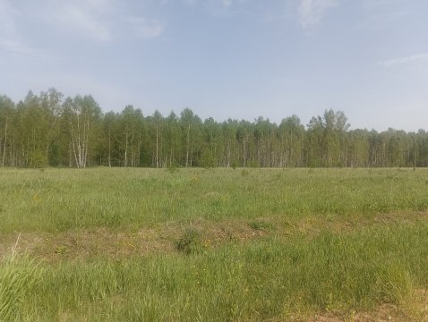 Лот №16, Земельный участок - 54 382 +/- 3 695 кв. м, адрес: Российская Федерация, Смоленская обл., р-н. Темкинский, тер. с/п Павловское, тер. АОЗТ «Ильинское», кадастровый номер 67:20:0030102:319, земли с/х назначения - для с/х использования, ограничения и обременения: ограничения прав на земельный участок, предусмотренные ст. 56 Земельного кодекса РФ, зона с особыми условиями использования территории Магистральная кабельная линия (КМ-05) Сверчково-граница Калужской обл., расположенная на террит