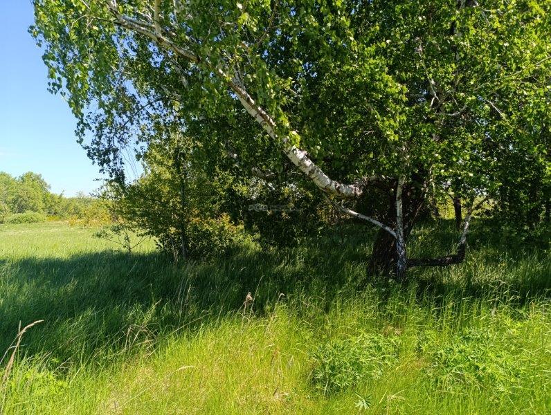Лот №7, Земельный участок - 66 500 +/- 2 256 кв. м, адрес: местоположение установлено относительно ориентира, расположенного в границах участка, почтовый адрес ориентира: Калининградская обл., Гурьевский р-н, ТОО «Прибрежное-1»