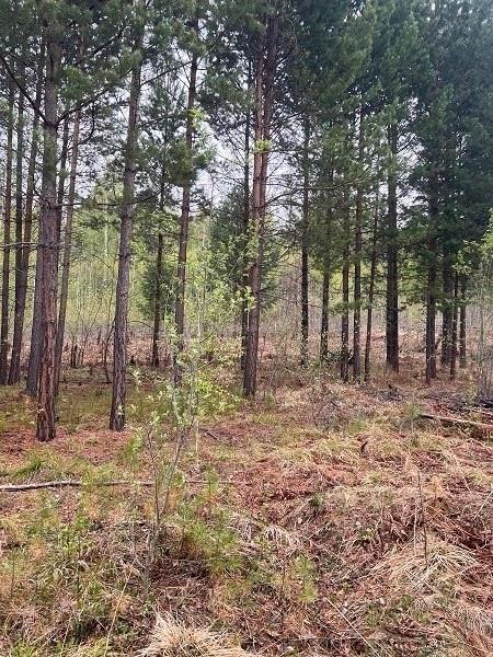 Земельный участок - 2 000 +/- 31 кв. м, адрес: Иркутская обл., Иркутский р-н, Ангарское лесничество, Ангарский лесхоз, 93 квартал, садоводческое некоммерческое товарищество «Пчелка», уч. 169