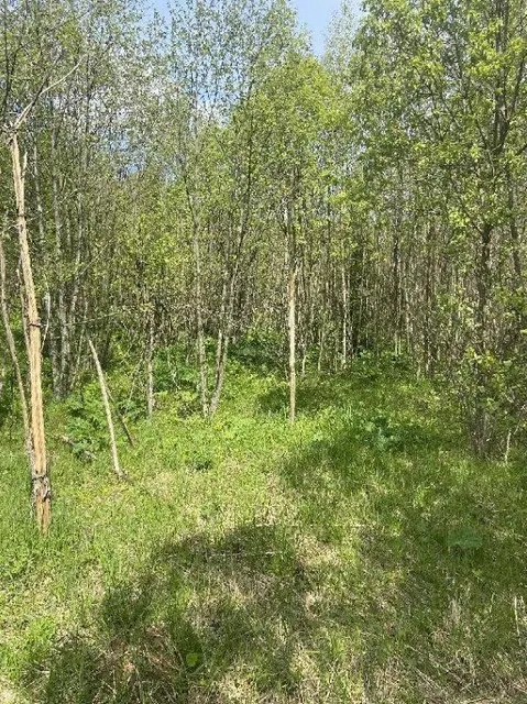 Земельные участки (16 поз.) - 52 310 +/- 162 кв. м, адрес: Ярославская обл., Переславский р-н, с/о Глебовский, вблизи дер. Большое Пальцино, ДНП «Союз дачников»