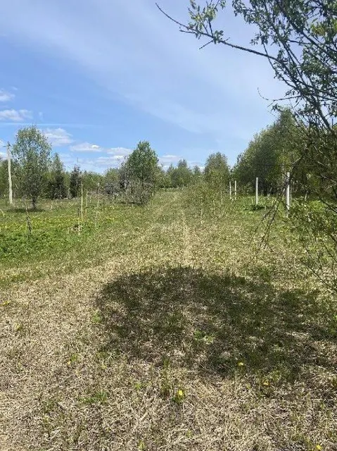 Земельные участки (16 поз.) - 52 310 +/- 162 кв. м, адрес: Ярославская обл., Переславский р-н, с/о Глебовский, вблизи дер. Большое Пальцино, ДНП «Союз дачников»