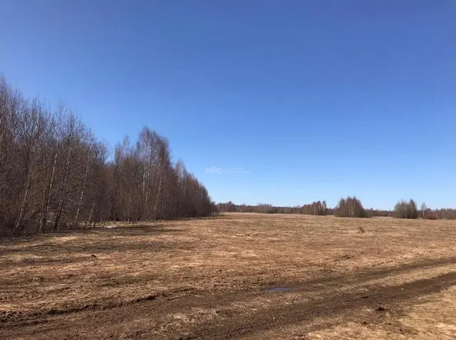 Земельный участок - 24 139 +/- 109 кв. м, местоположение: Псковская обл., Пыталовский р-н, СП "Утроинская волость", дер. Заводино