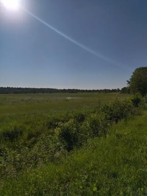 Земельный участок - 242 515 +/- 356 кв. м, адрес: Московская обл., Дмитровский р-н, Зареченский с/с, в районе дер. Драчево