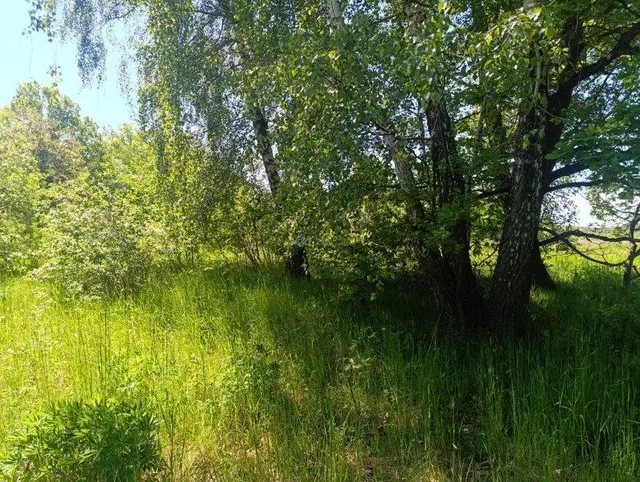 Лот №5, Земельный участок - 128 000 +/- 3 131 кв. м, адрес: местоположение установлено относительно ориентира, расположенного в границах участка, почтовый адрес ориентира: Калининградская обл., Гурьевский р-н, ТОО «Прибрежное-1»