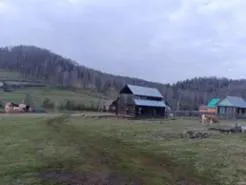 Жилой дом, общей площадью 109,2 кв.м., с кадастровым номером 02:18:090401:237, с земельным участком общей площадью 2471 кв.м., с кадастровым номером 02:18:090401:149, находящиеся по адресу: Республика Башкортостан, р-н Бурзянский, Старосубхангуловский сельсовет, д. Старомусятово, ул. Салавата Юлаева, д. 7, Собственность совместная с бывшей супругой Суфияновой Филюзой Булатовной.