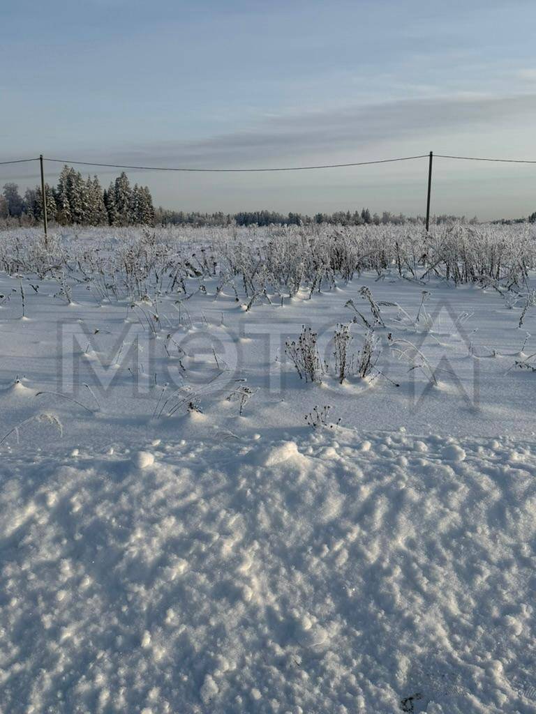 Земельный участок в Московской обл., 746 +/- 10 кв.м.