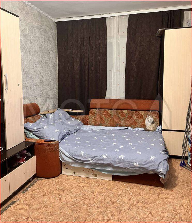 Дом 56,8 кв.м. и земельный участок 913 кв.м. в Алтайском крае