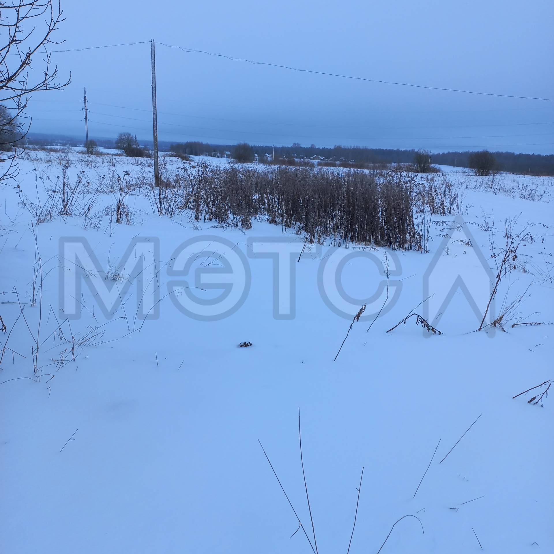 1/2 доля земельного участка в Вологодской обл.