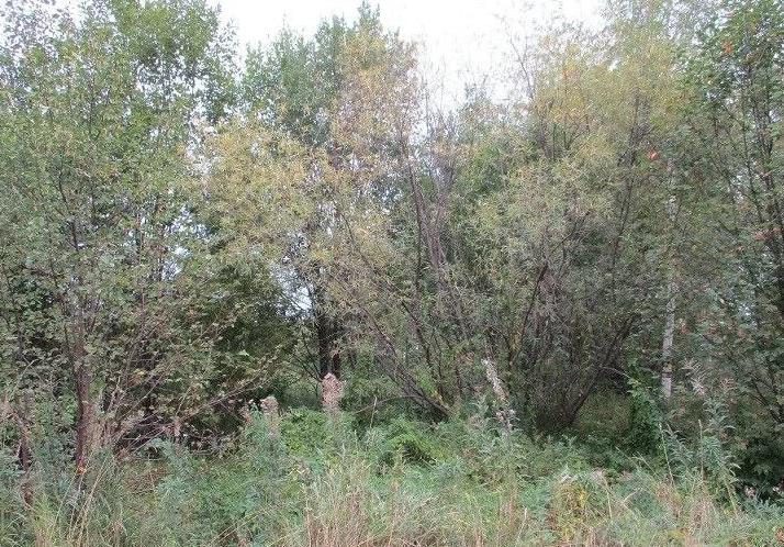 Земельный участок в Вологодской обл., 525 кв.м.