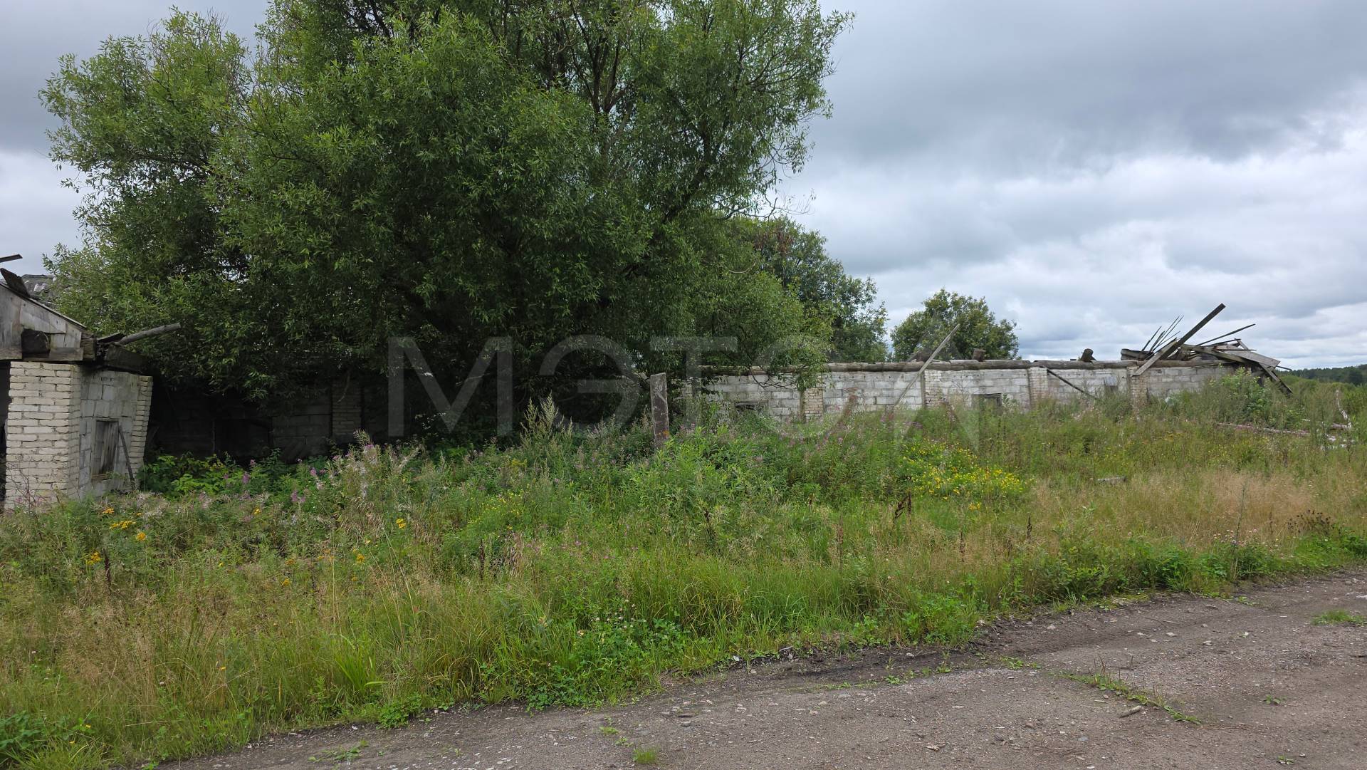 Коровник в Тверской обл., 1056 кв.м