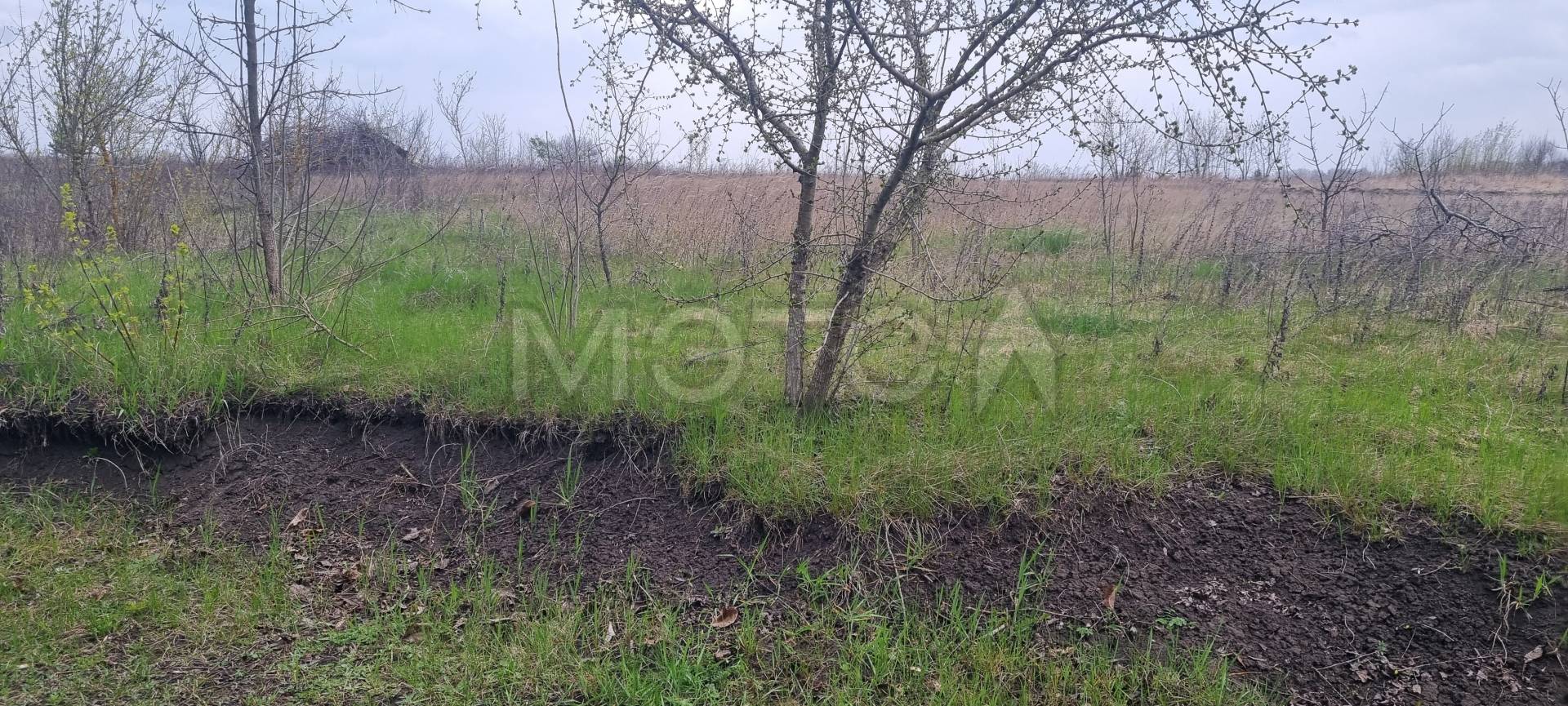 Земельный участок в Белгородской обл., 500 кв.м.
