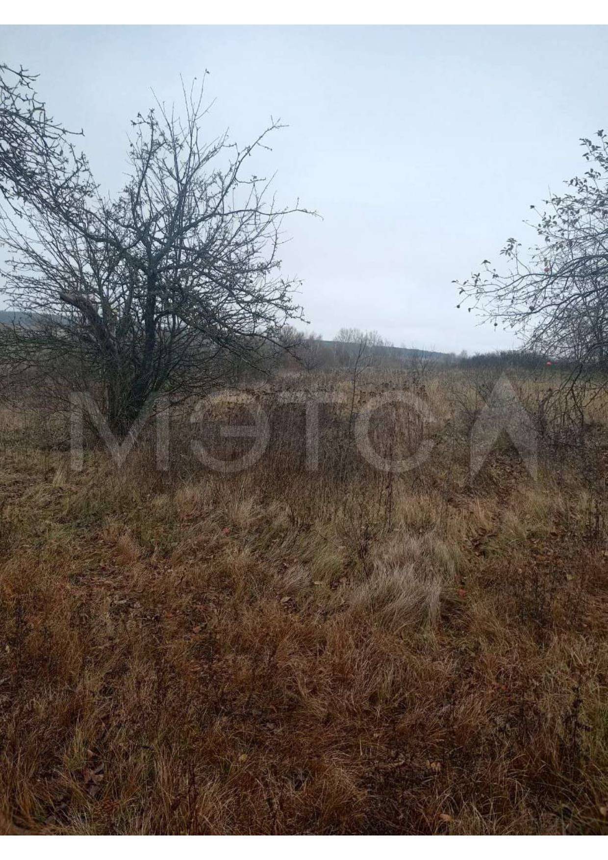 Земельный участок в Курской обл., 600 кв.м.
