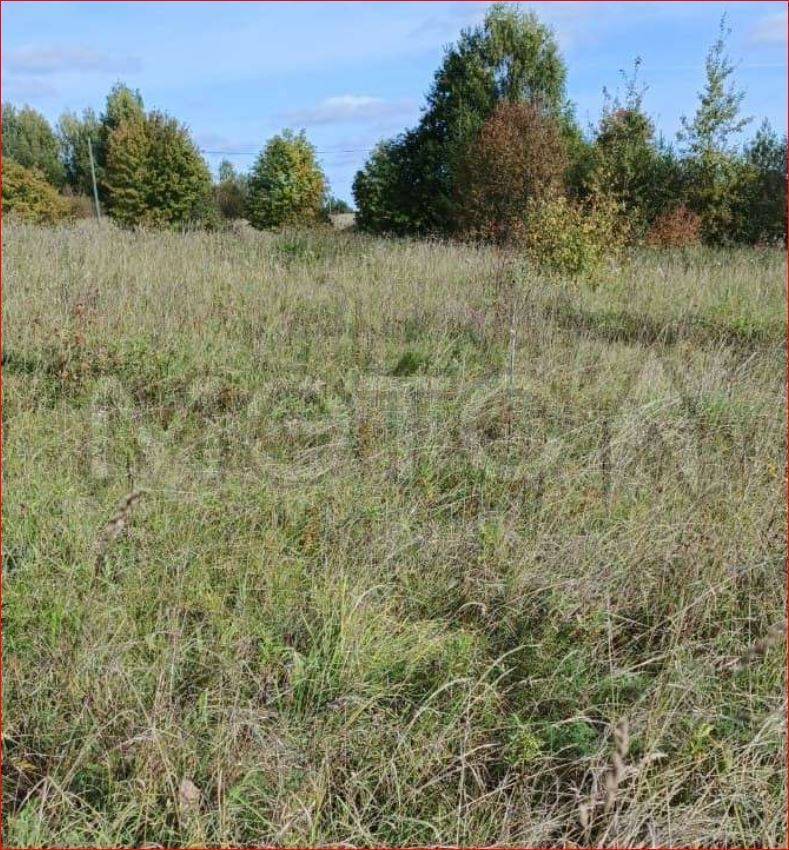 Земельный участок в Вологодской обл., 2446 кв.м.