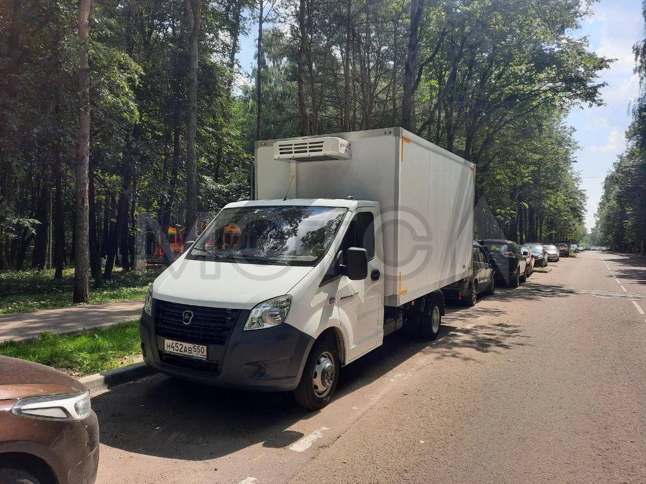 ГАЗ 3009Z6, 2024 года