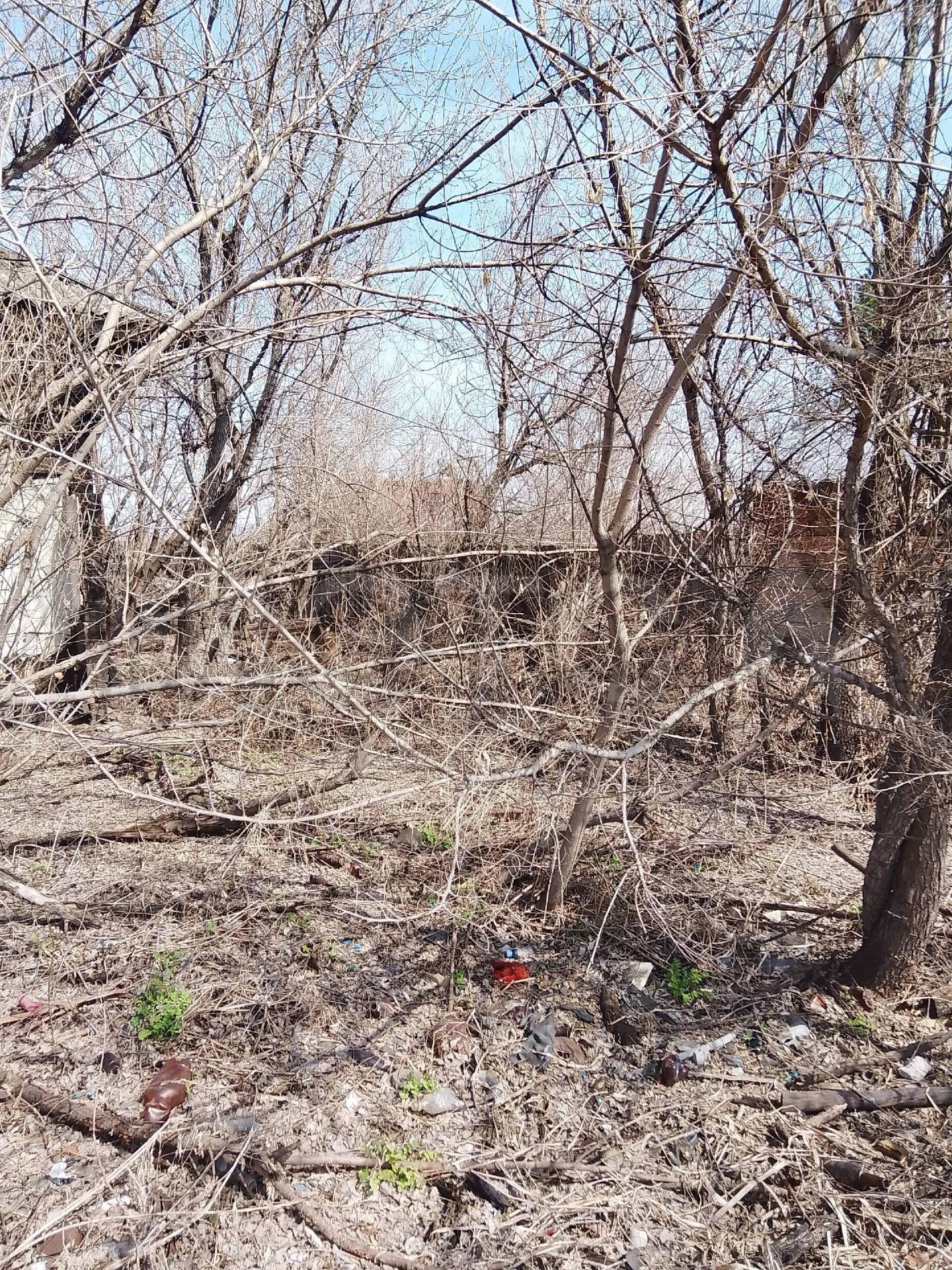 1/2 доля здания и 1/2 доля земельного участка в Красноярском крае