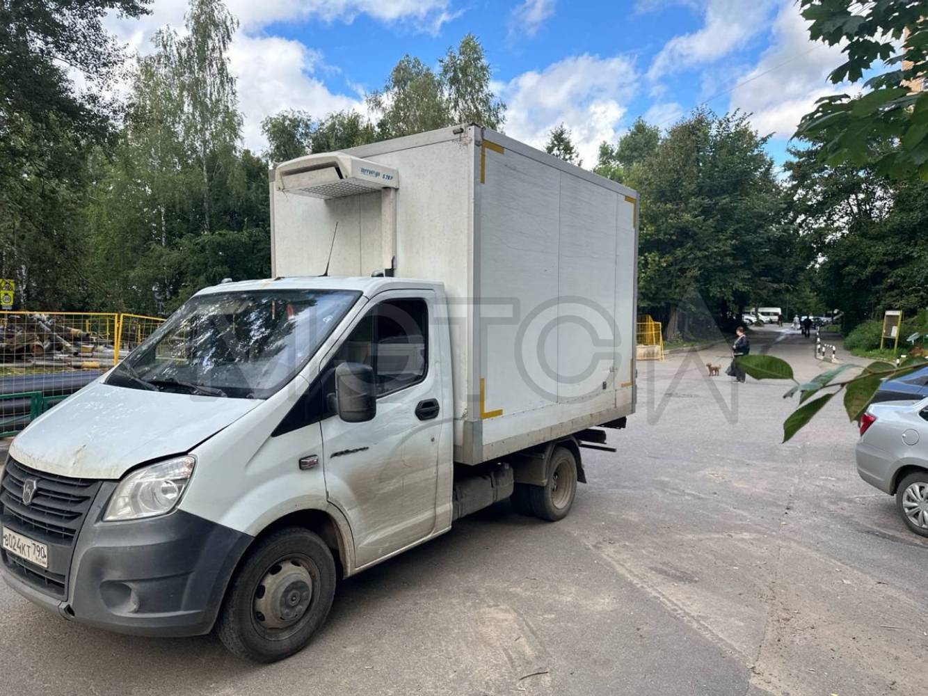 Автомобиль грузовой 3009Z6, 2021 года