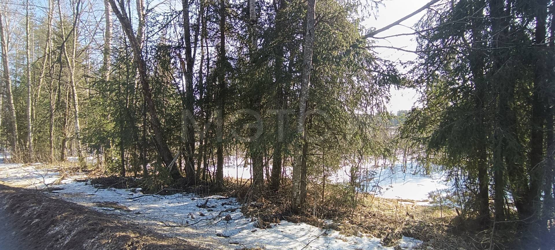 Земельный участок в Новгородской обл., 10000 кв.м.
