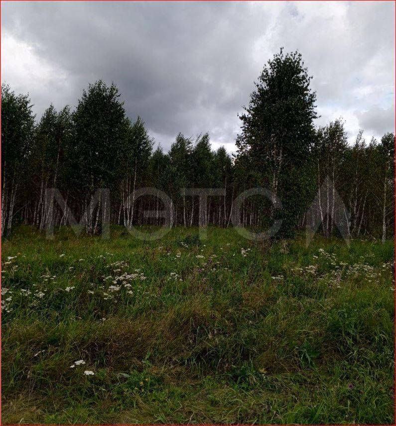 Земельный участок в Челябинской обл., 76318 кв.м.