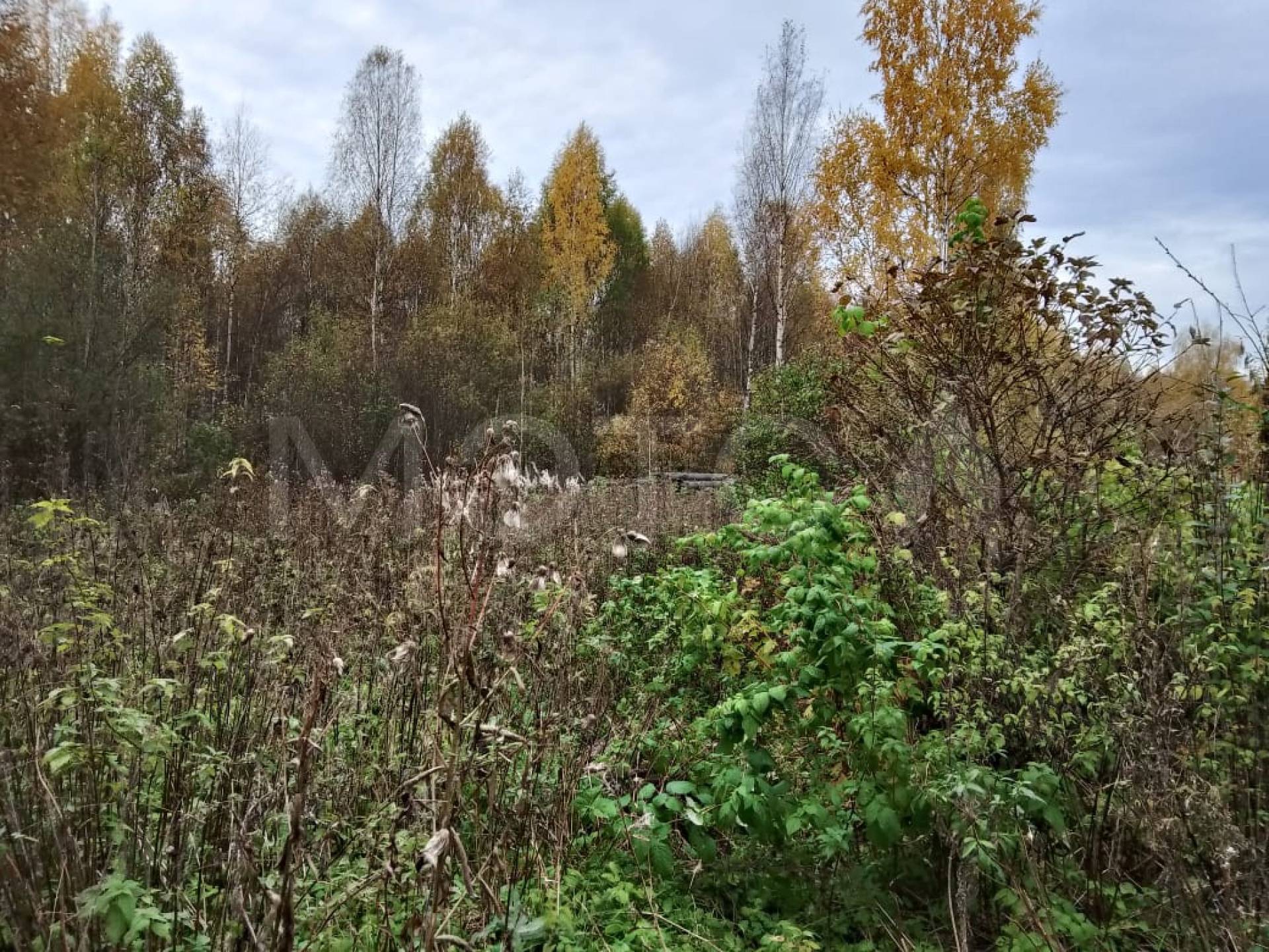 588/532827 доля земельного участка в Кирове
