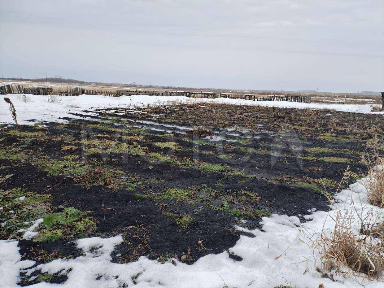 Земельный участок в Курганской обл., 1200 кв.м.