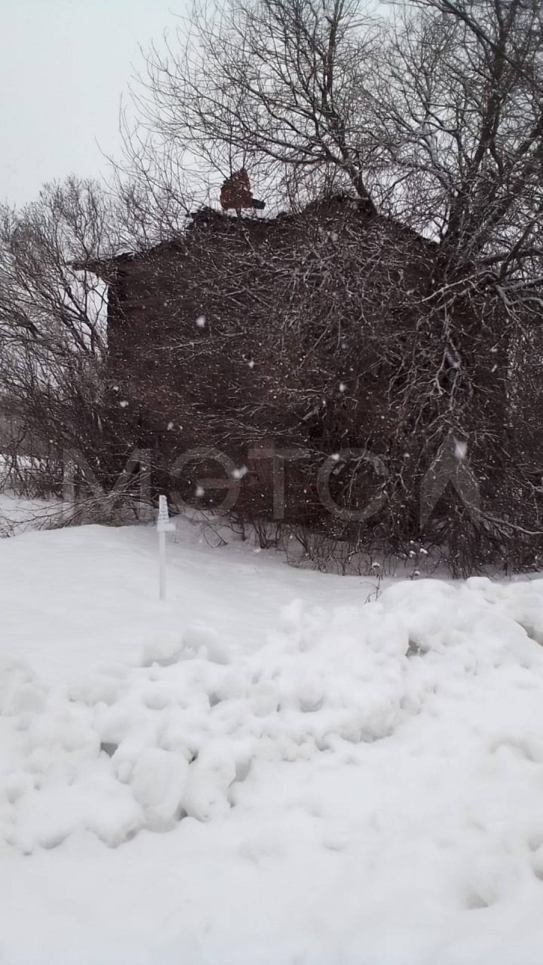 Квартира в Кировской обл., 34,9 кв.м, 1 комн.