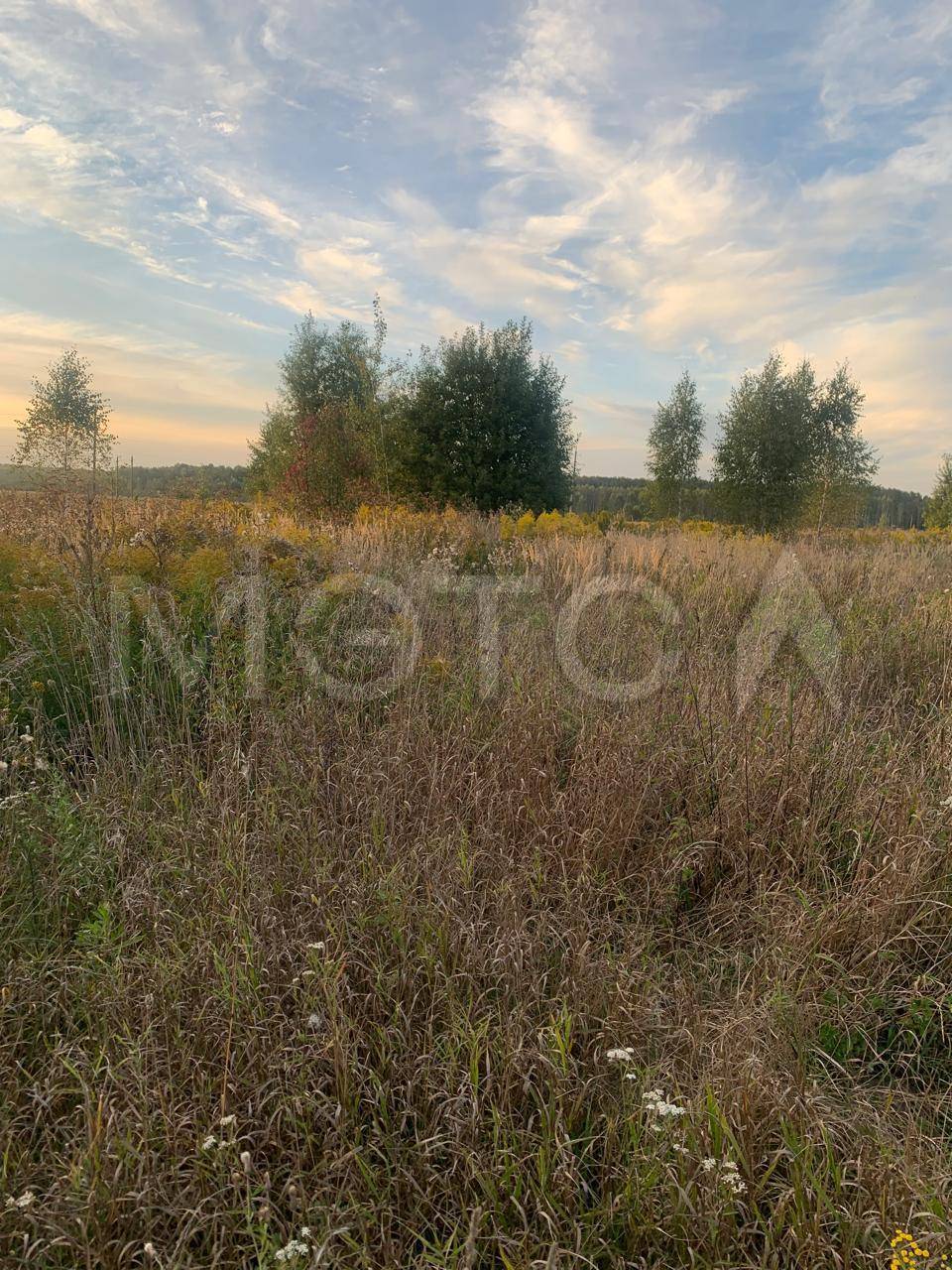 1/265 доля земельного участка в Орловской обл.