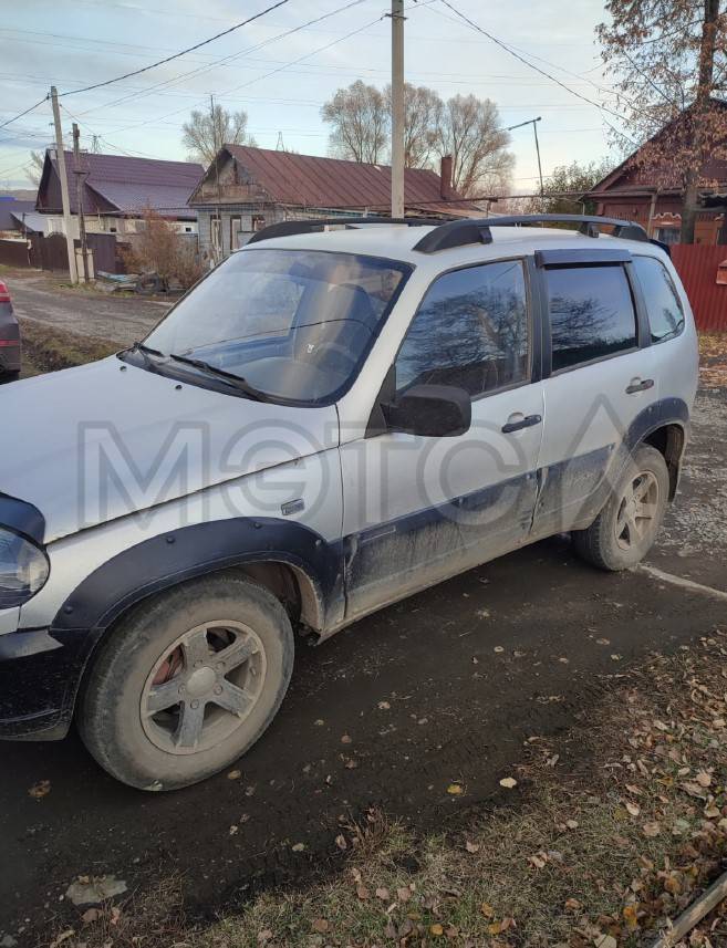 Chevrolet Niva, 2004 года, 79,6 лс, 533895 км, полный привод