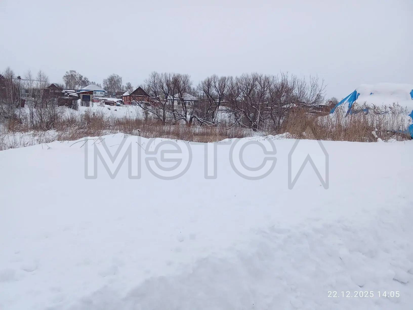 1/2 доля земельного участка в Алтайском крае