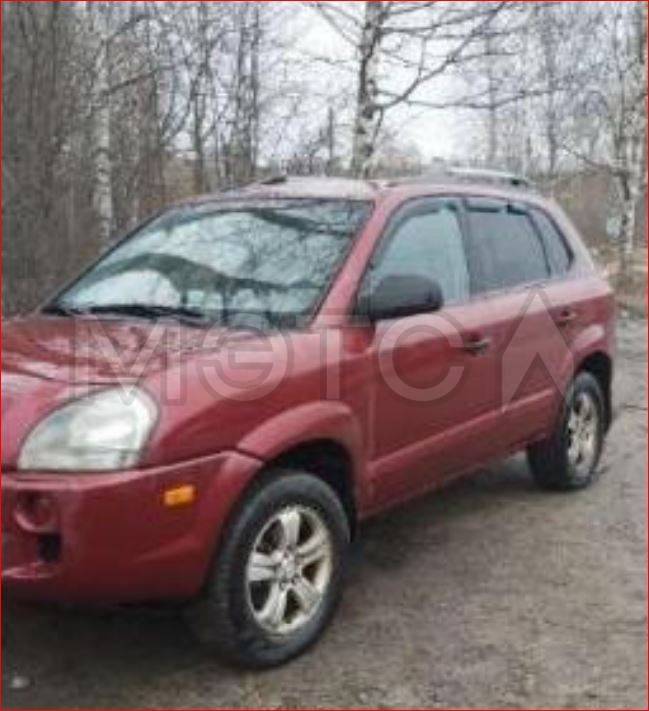 Hyundai Tucson, 2004 года, 141 лс, 263718 км