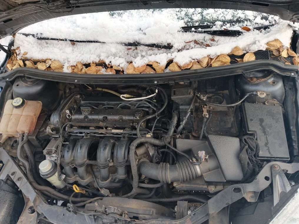 Ford Focus, 2006 года, 115 лс