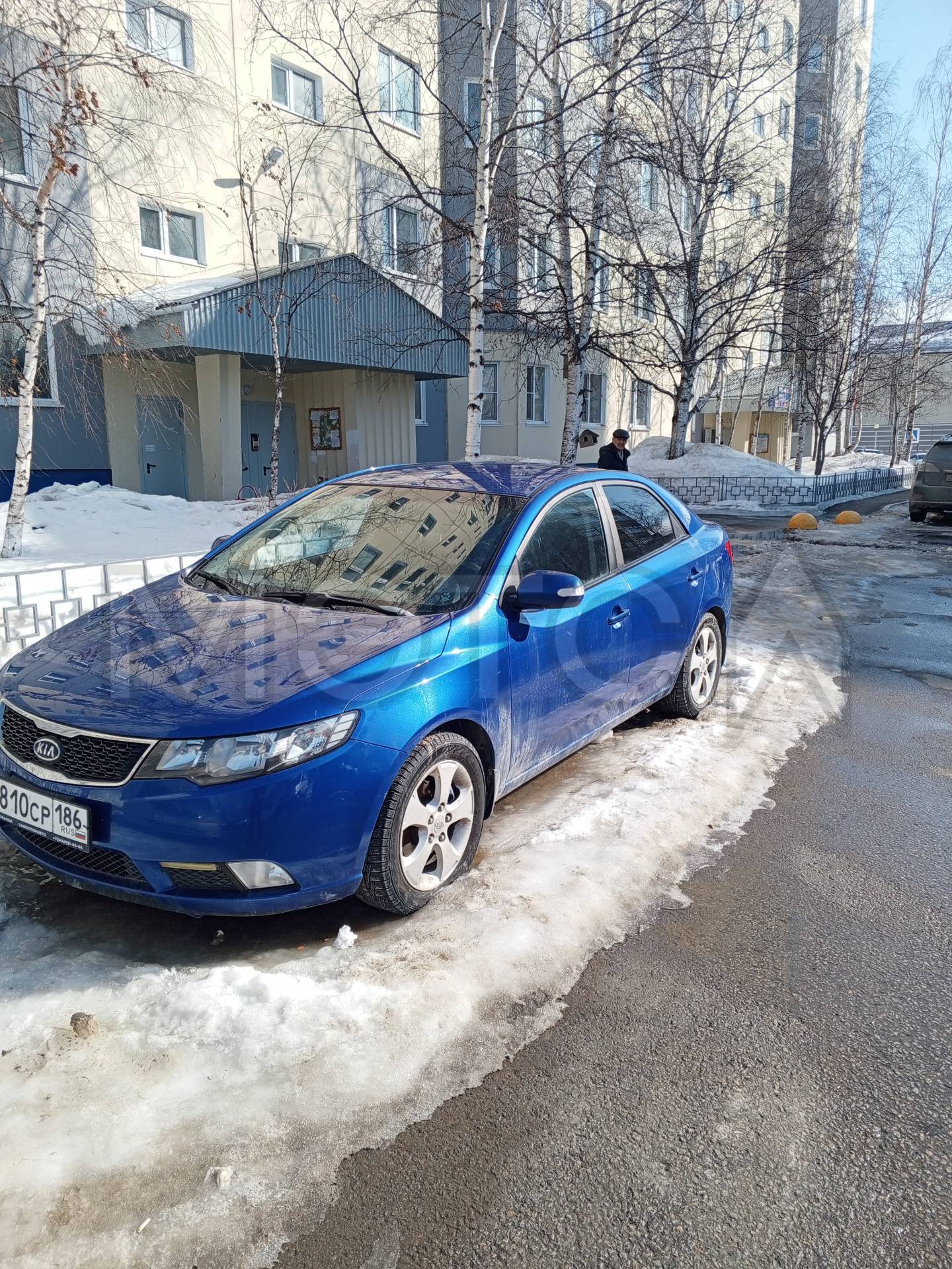 Kia Cerato, 2009 года, 126 лс, 184000 км, АКПП