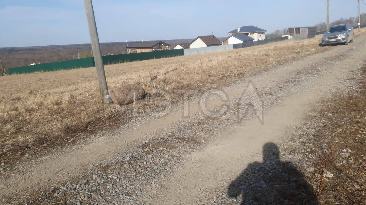 Земельный участок в Ленинградской обл., 1200 кв.м.